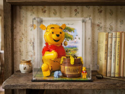 LEGO® Winnie the Pooh (43300) Display Case