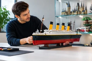 Premium LEGO Collecting for a Better Display